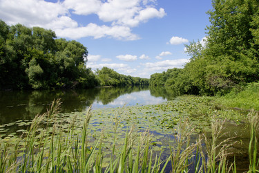 Similar image 215930