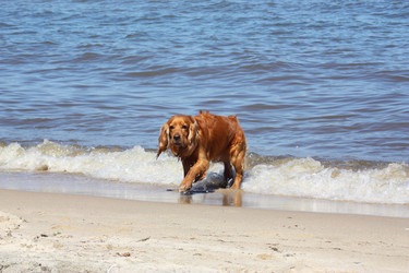 Similar image 215957