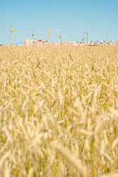 Similar image 215989