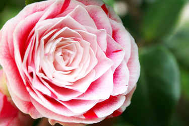 Similar image 215992