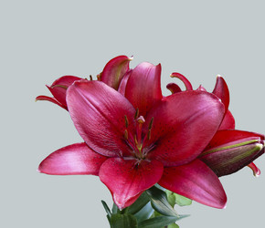 Similar image 215997