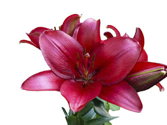 Similar image 216011