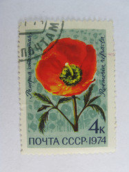 Similar image 216033