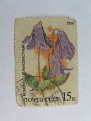 Similar image 216043