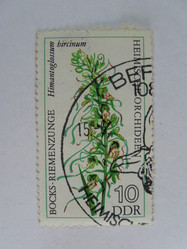 Similar image 216080