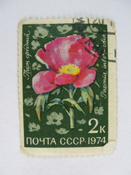 Similar image 216081