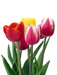 Similar image 216140