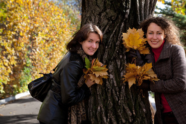 Similar image 216168