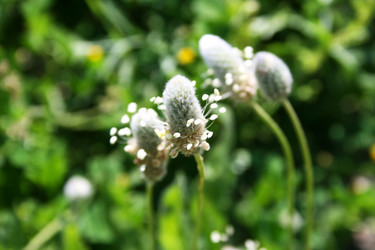 Similar image 216172