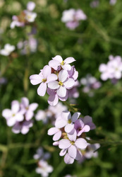 Similar image 216173