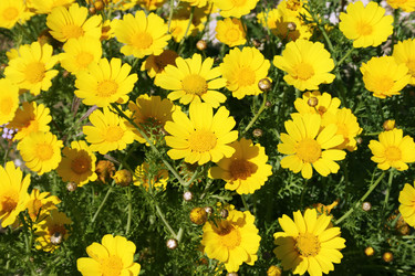 Similar image 216174