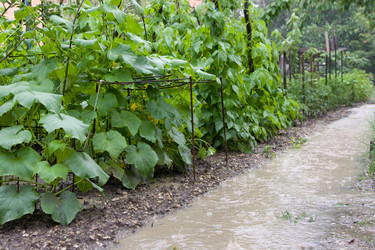 Similar image 216177