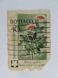 Similar image 216192