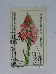 Similar image 216195