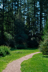 Similar image 216223