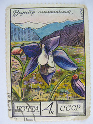 Similar image 216239