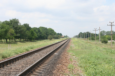 Similar image 216271