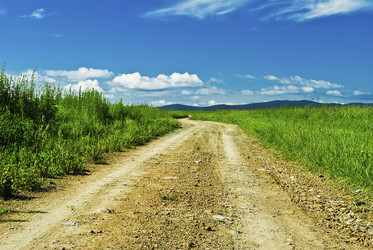 Similar image 216272