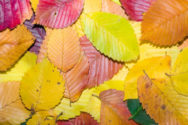 Similar image 216286