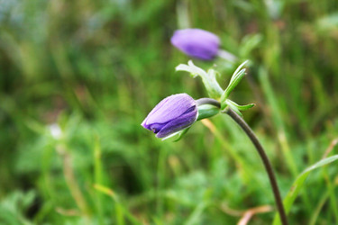 Similar image 216289