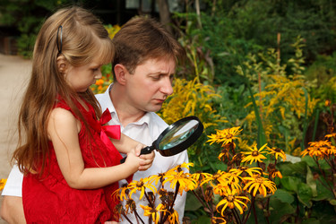 Similar image 216338