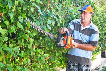 Similar image 216375