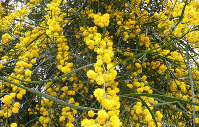 Similar image 216378