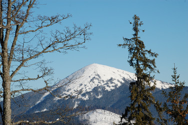 Similar image 216431