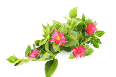 Similar image 216433