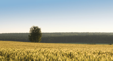 Similar image 216496