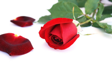 Similar image 216504