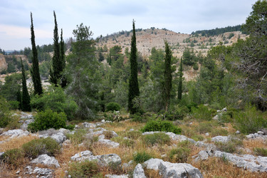 Similar image 216512