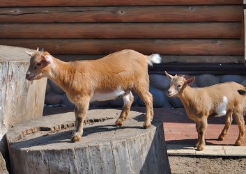 Similar image 216515