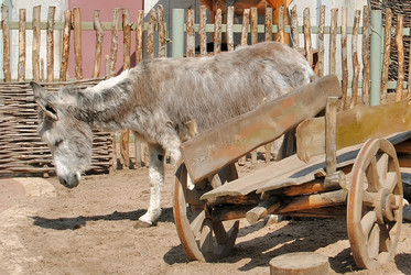 Similar image 216517