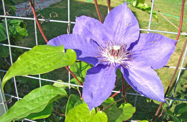 Similar image 216540