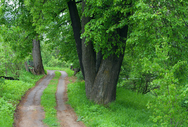 Similar image 216549