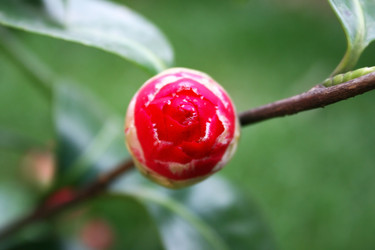 Similar image 216568