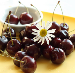 Similar image 216576