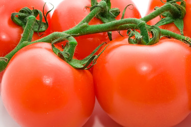 Similar image 216584