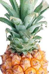 Similar image 216592