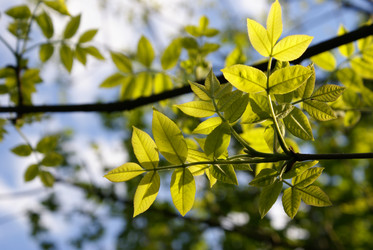 Similar image 216598