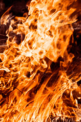 Similar image 216605