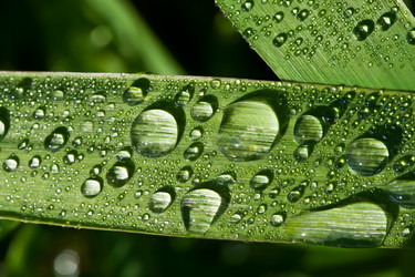 Similar image 216607