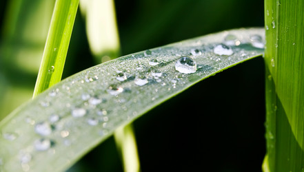 Similar image 216609