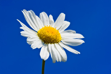 Similar image 216620