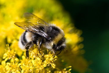 Similar image 216674