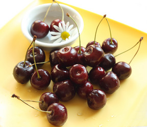 Similar image 216687