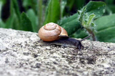 Similar image 216704