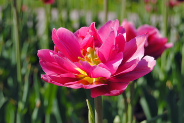 Similar image 216706