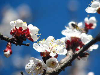 Similar image 216709